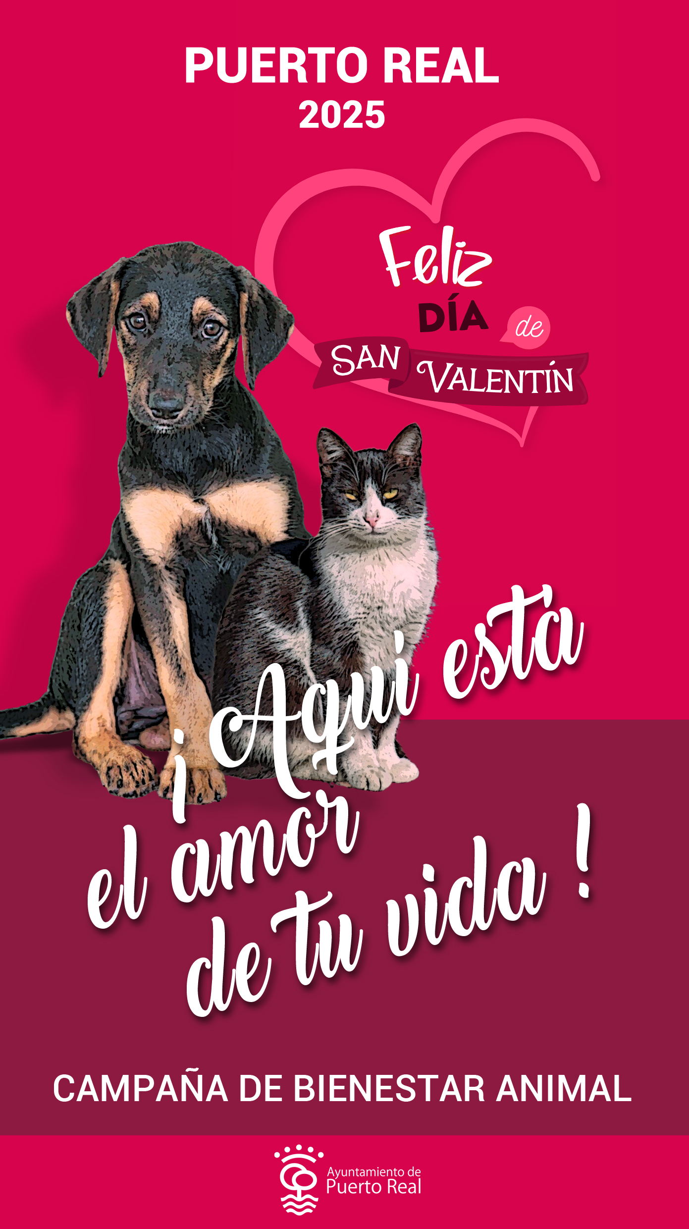 ‘¡Aquí está el amor de tu vida!’, la campaña de Bienestar Animal para fomentar las adopciones de perros y gatos abandonados