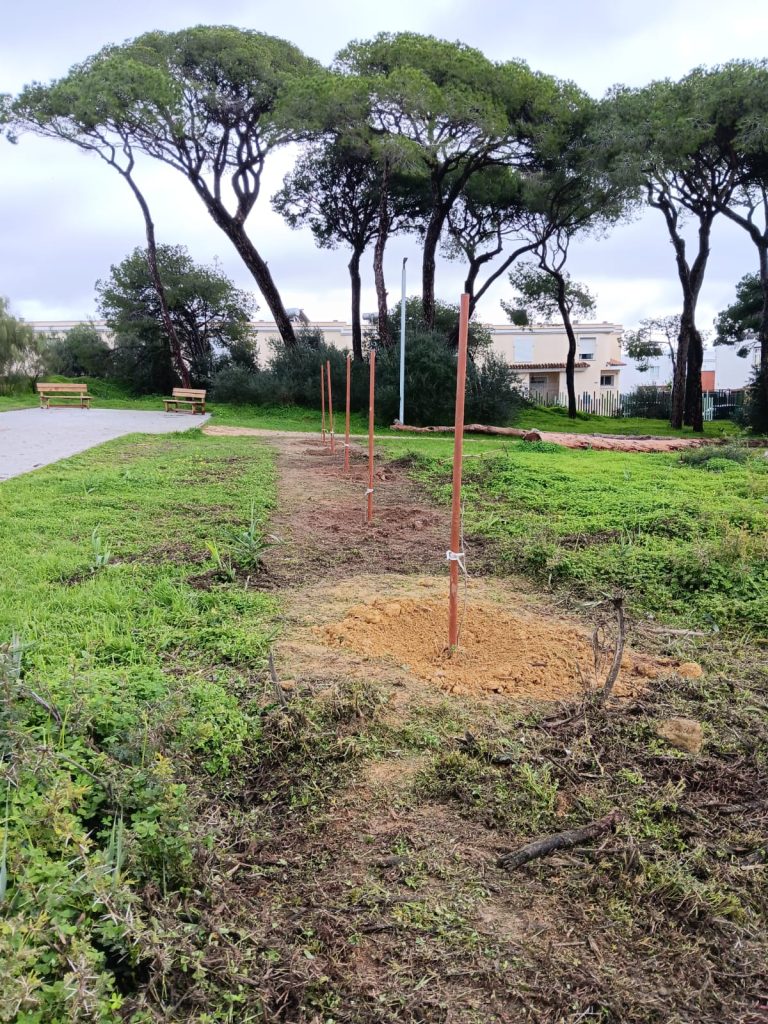 El Ayuntamiento refuerza su compromiso ambiental y triplica las plantaciones en la ciudad