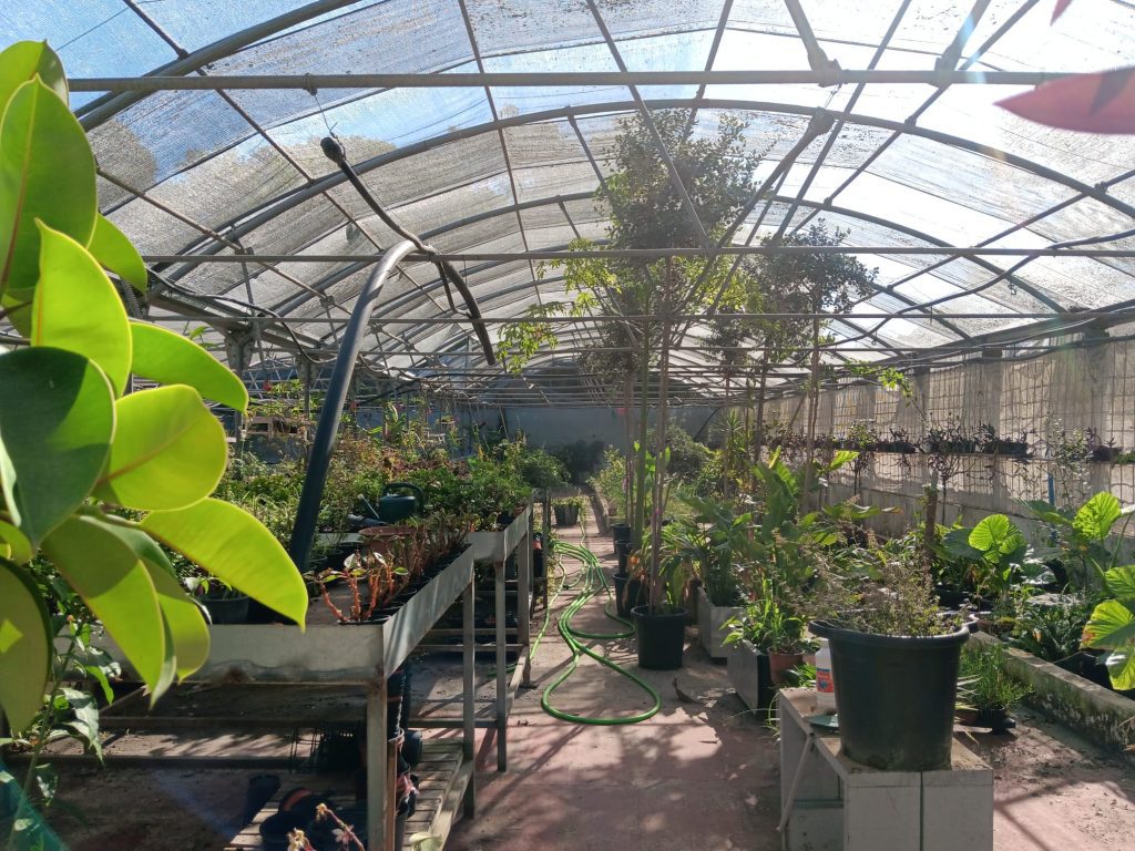 Nuevos talleres de educación medioambiental para los centros educativos de Puerto Real