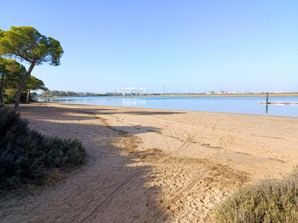 Aprobada en Pleno una ordenanza para reforzar la protección ambiental y la convivencia en las playas puertorrealeñas