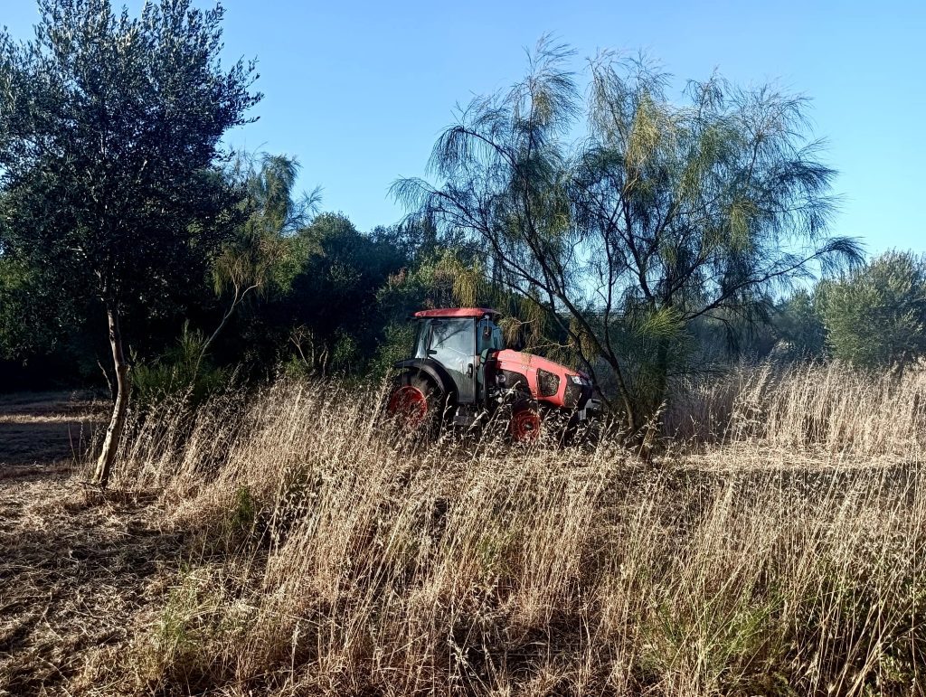 Puerto Real intensifica las acciones de prevención contra los incendios forestales en el Río San Pedro