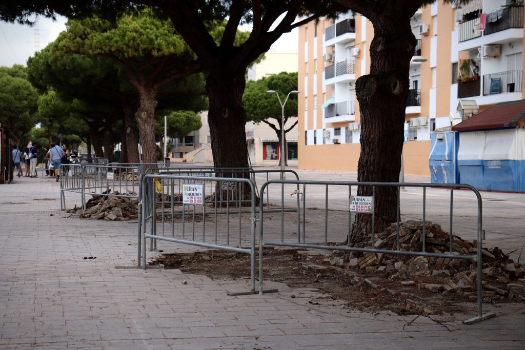 El Ayuntamiento continúa la mejora de la Avenida Argentina con una nueva fase de obras para reparar acerados y ampliar alcorques