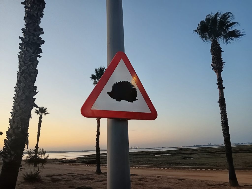 Puerto Real refuerza la protección de los erizos con nueva señalización